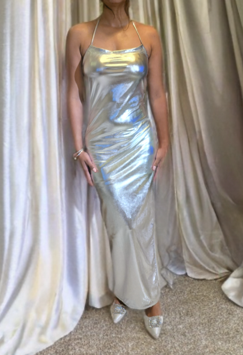 Luxe Metalic Silver Dress
